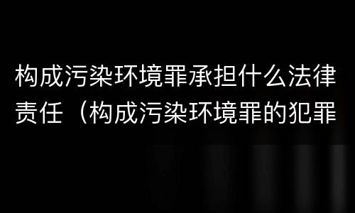 构成污染环境罪承担什么法律责任（构成污染环境罪的犯罪行为）