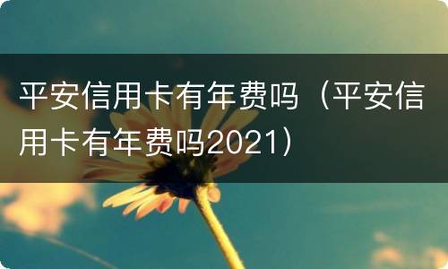 平安信用卡有年费吗（平安信用卡有年费吗2021）