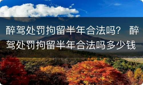 醉驾处罚拘留半年合法吗？ 醉驾处罚拘留半年合法吗多少钱