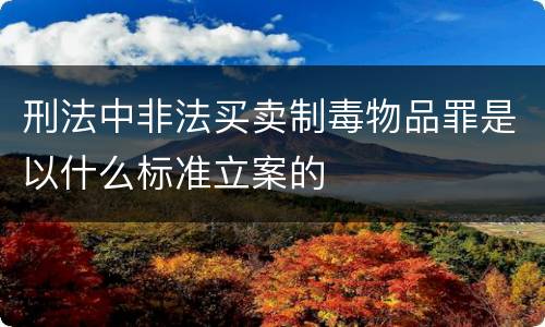 刑法中非法买卖制毒物品罪是以什么标准立案的