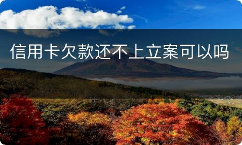 信用卡欠款还不上立案可以吗
