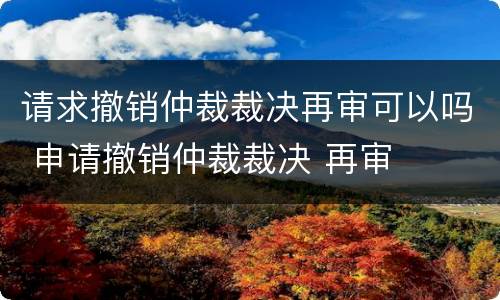 请求撤销仲裁裁决再审可以吗 申请撤销仲裁裁决 再审