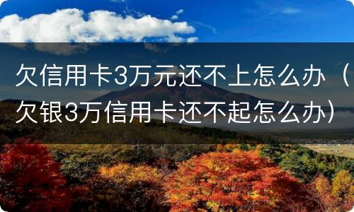 欠信用卡3万元还不上怎么办（欠银3万信用卡还不起怎么办）