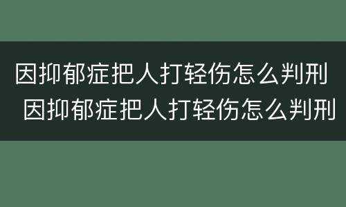 因抑郁症把人打轻伤怎么判刑 因抑郁症把人打轻伤怎么判刑的