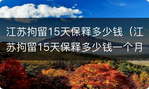 江苏拘留15天保释多少钱（江苏拘留15天保释多少钱一个月）