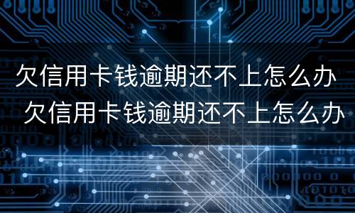 欠信用卡钱逾期还不上怎么办 欠信用卡钱逾期还不上怎么办呢
