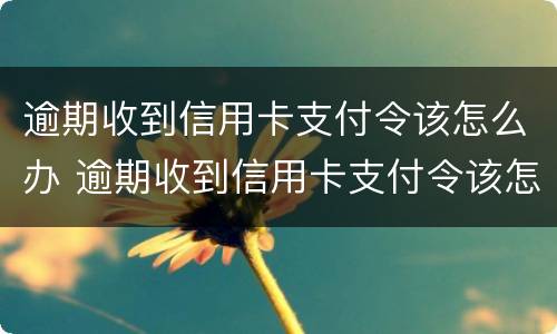 逾期收到信用卡支付令该怎么办 逾期收到信用卡支付令该怎么办理