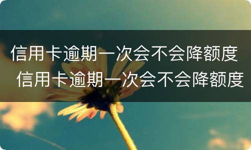 信用卡逾期一次会不会降额度 信用卡逾期一次会不会降额度呀