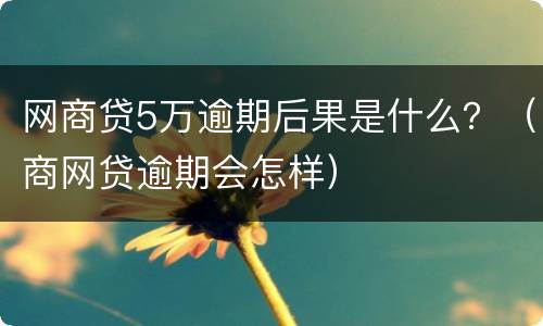 网商贷5万逾期后果是什么？（商网贷逾期会怎样）