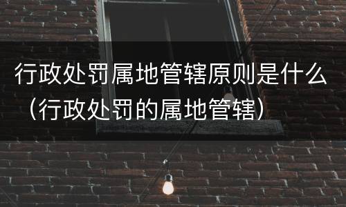 行政处罚属地管辖原则是什么（行政处罚的属地管辖）