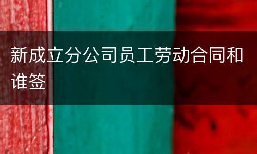 新成立分公司员工劳动合同和谁签