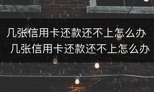 几张信用卡还款还不上怎么办 几张信用卡还款还不上怎么办呀