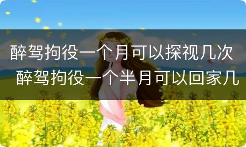 醉驾拘役一个月可以探视几次 醉驾拘役一个半月可以回家几次