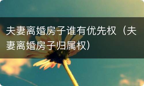 夫妻离婚房子谁有优先权（夫妻离婚房子归属权）