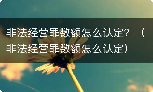 非法经营罪数额怎么认定？（非法经营罪数额怎么认定）