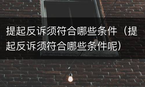 提起反诉须符合哪些条件（提起反诉须符合哪些条件呢）