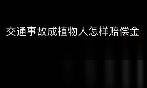 交通事故成植物人怎样赔偿金