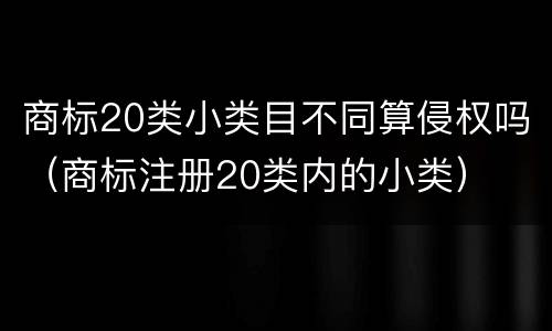 商标20类小类目不同算侵权吗（商标注册20类内的小类）