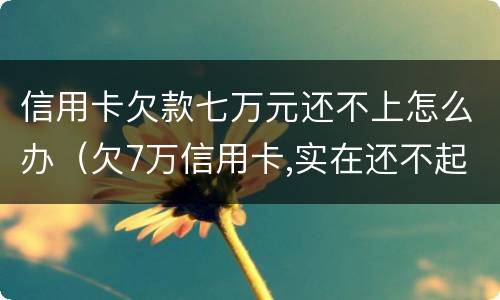 信用卡欠款七万元还不上怎么办（欠7万信用卡,实在还不起了）