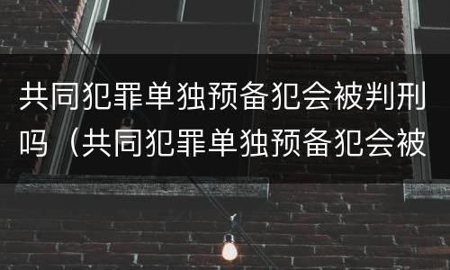 共同犯罪单独预备犯会被判刑吗（共同犯罪单独预备犯会被判刑吗）