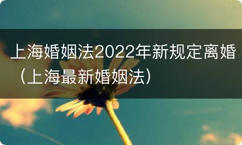 上海婚姻法2022年新规定离婚（上海最新婚姻法）