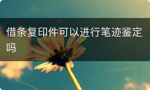 借条复印件可以进行笔迹鉴定吗