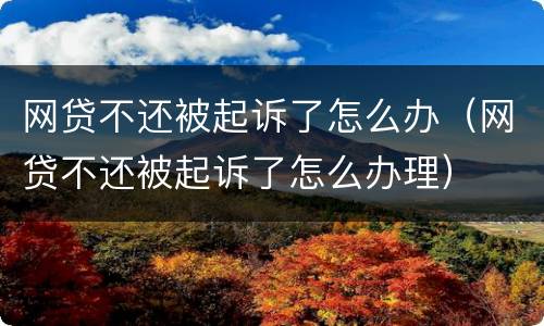 网贷不还被起诉了怎么办（网贷不还被起诉了怎么办理）