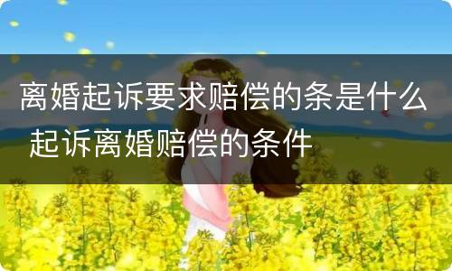 离婚起诉要求赔偿的条是什么 起诉离婚赔偿的条件