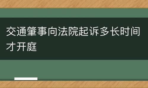 交通肇事向法院起诉多长时间才开庭