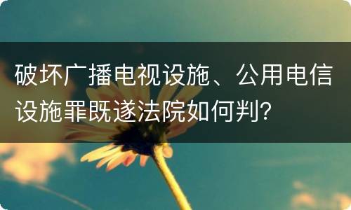 破坏广播电视设施、公用电信设施罪既遂法院如何判？