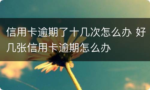 信用卡逾期了十几次怎么办 好几张信用卡逾期怎么办