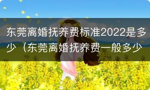 东莞离婚抚养费标准2022是多少（东莞离婚抚养费一般多少钱）