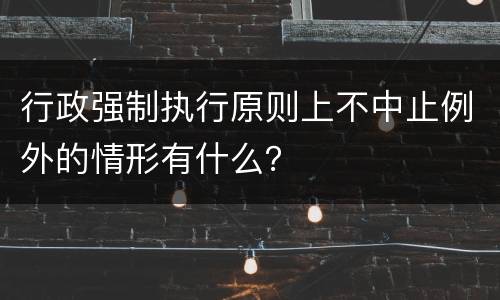 行政强制执行原则上不中止例外的情形有什么？