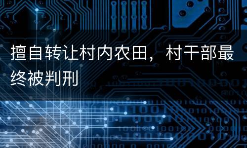 擅自转让村内农田，村干部最终被判刑