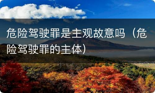 危险驾驶罪是主观故意吗（危险驾驶罪的主体）