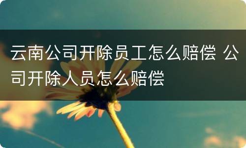 云南公司开除员工怎么赔偿 公司开除人员怎么赔偿