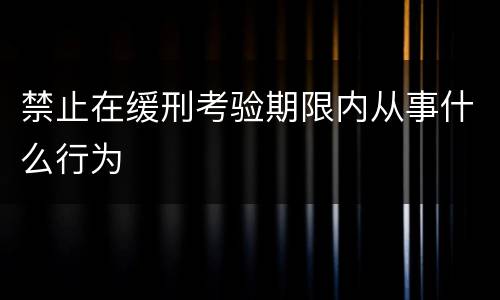 禁止在缓刑考验期限内从事什么行为