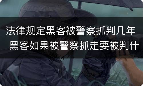 法律规定黑客被警察抓判几年 黑客如果被警察抓走要被判什么罪