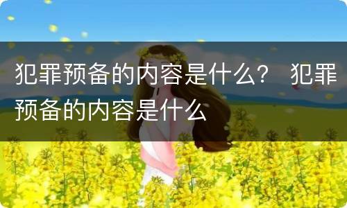 犯罪预备的内容是什么？ 犯罪预备的内容是什么
