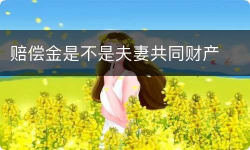 赔偿金是不是夫妻共同财产