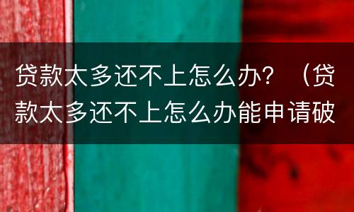 贷款太多还不上怎么办？（贷款太多还不上怎么办能申请破产吗）
