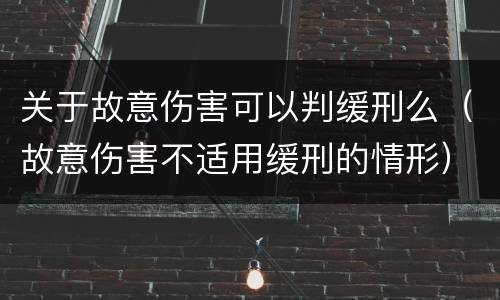 关于故意伤害可以判缓刑么（故意伤害不适用缓刑的情形）