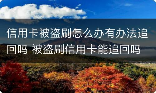 信用卡被盗刷怎么办有办法追回吗 被盗刷信用卡能追回吗