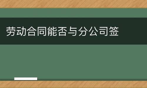 劳动合同能否与分公司签