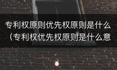 专利权原则优先权原则是什么（专利权优先权原则是什么意思）