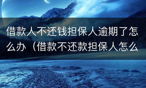 借款人不还钱担保人逾期了怎么办（借款不还款担保人怎么办）