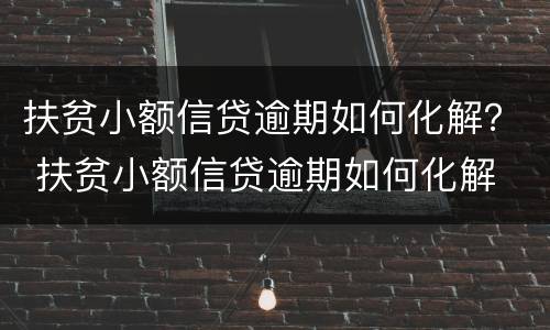 扶贫小额信贷逾期如何化解？ 扶贫小额信贷逾期如何化解