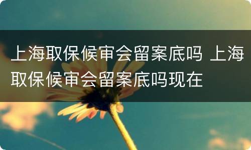 上海取保候审会留案底吗 上海取保候审会留案底吗现在