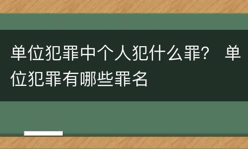 单位犯罪中个人犯什么罪？ 单位犯罪有哪些罪名