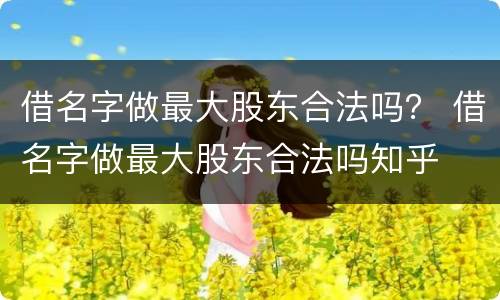 借名字做最大股东合法吗？ 借名字做最大股东合法吗知乎